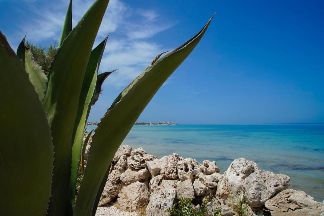 Aurelia Sea View Bed & Breakfast Torre Canne Exterior photo