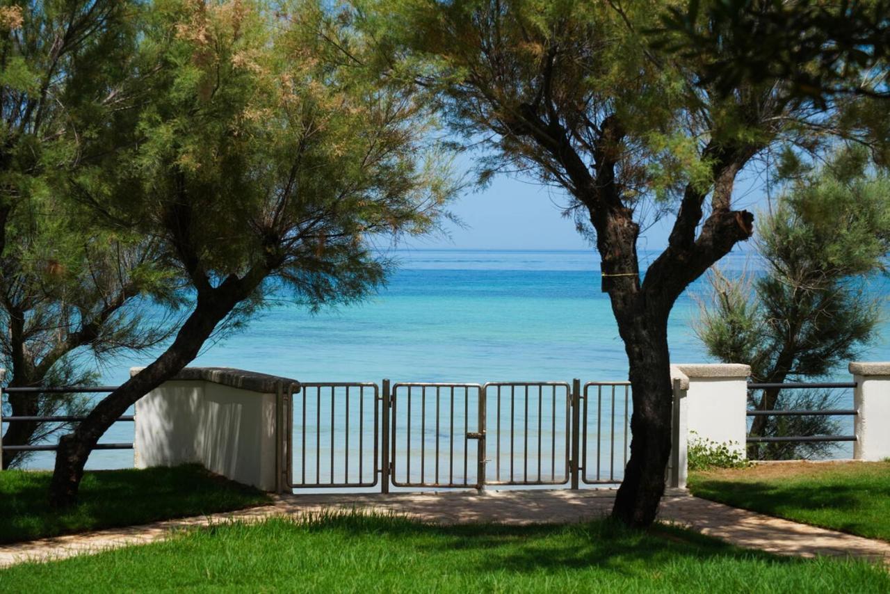 Aurelia Sea View Bed & Breakfast Torre Canne Exterior photo